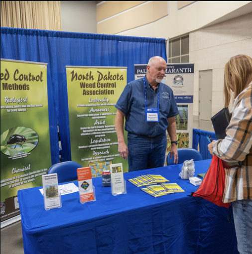 Traditional Exhibitor